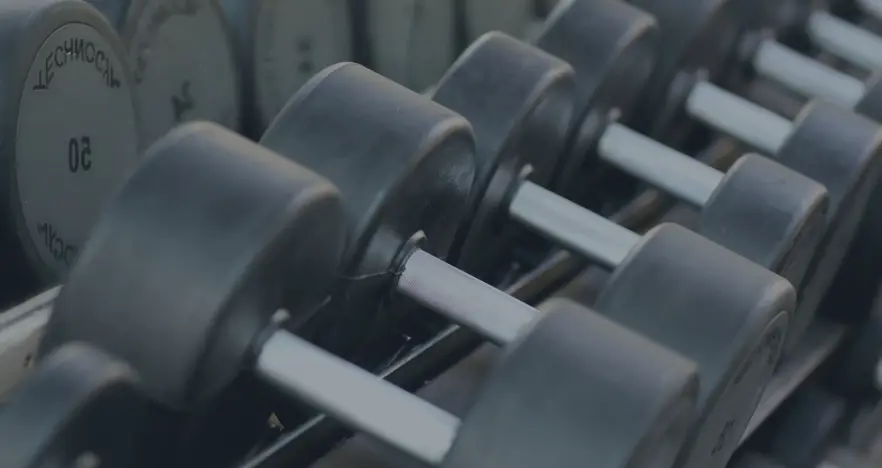 Close-up of dumbells on a rack