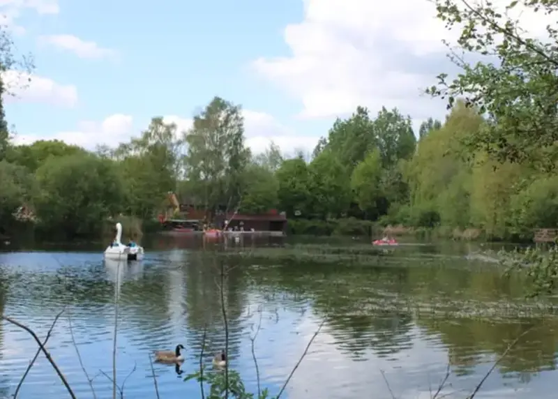 Wide angle shot of lake with swan pedalo